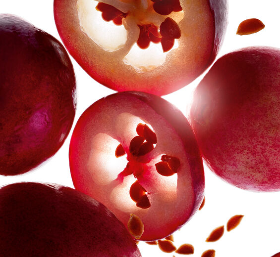 Żurawina-Organiczny olej żurawinowy-Vaccinium macrocarpon (cranberry) seed oil
