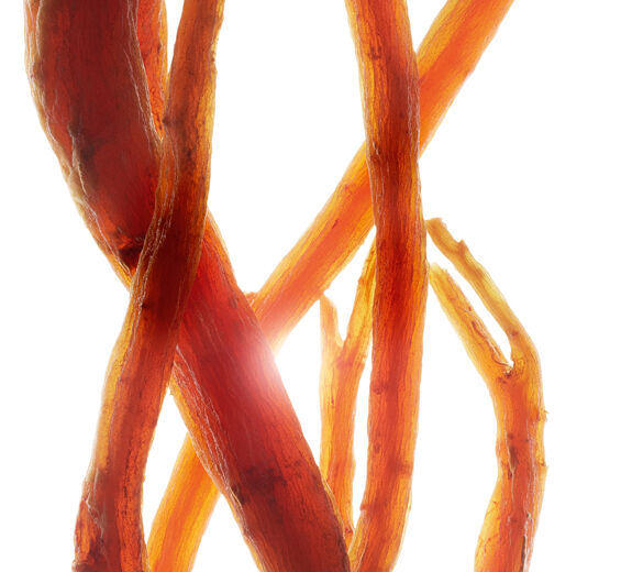 Żeń-Szeń-Organiczny ekstrakt z czerwonego żeń-szenia-Panax ginseng root extract