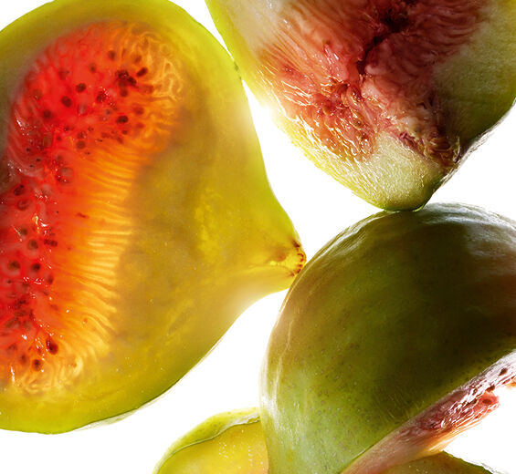 Figowiec-Ekstrakt z figi-Ficus carica (fig) fruit extract