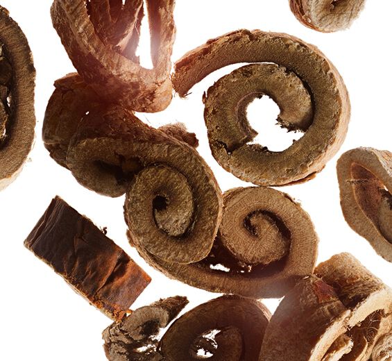 Morwa biała-Organiczny ekstrakt z morwy białej-Morus alba root extract