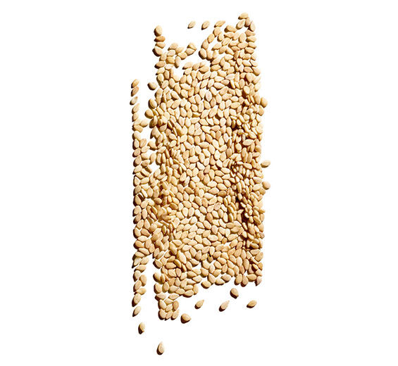 Sezam-Organiczny olej sezamowy-Sesamum indicum (sesame) seed oil