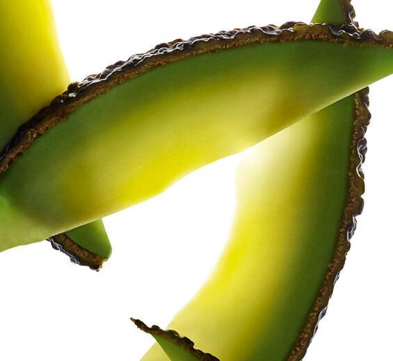 Awokado-Niezmydlający się olej z awokado-Persea gratissima (avocado) oil unsaponifiables