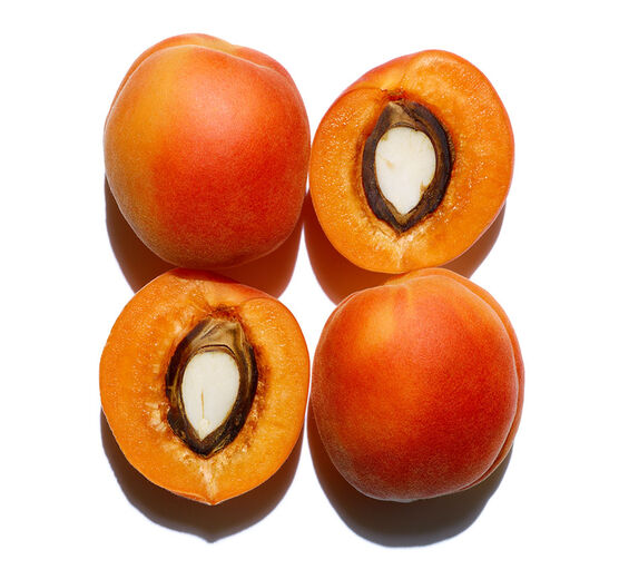 Morela-Organiczny olej morelowy-Prunus armeniaca (apricot) kernel oil