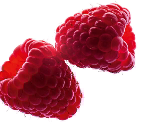 Malina-Olej malinowy-Rubus idaeus (raspberry) seed oil