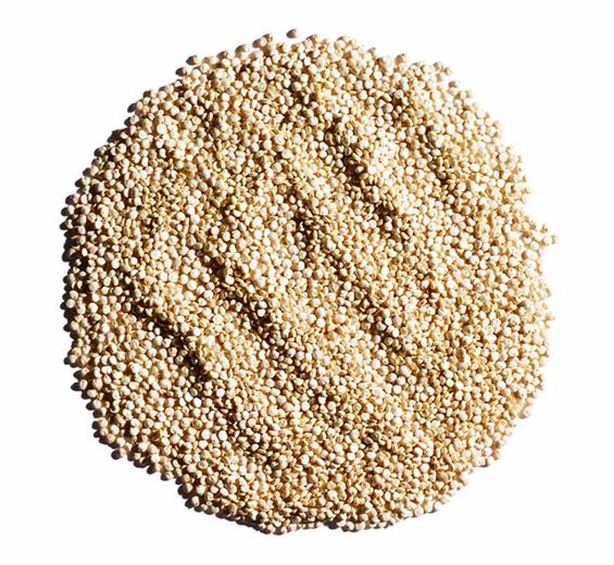 Komosa ryżowa-Ekstrakt z komosy ryżowej-Chenopodium quinoa seed extract