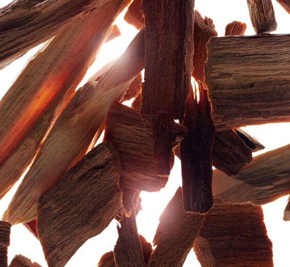 Drzewo sandałowe-Olejek eteryczny z sandałowca białego-Santalum album (sandalwood) oil