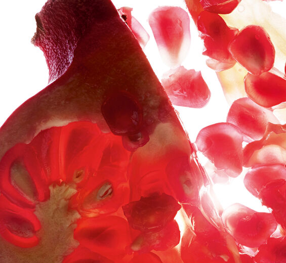 undefined-Ekstrakt z granatu-Punica granatum bark extract