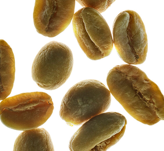 Kawa Arabica-Kofeina roślinna-Caffeine