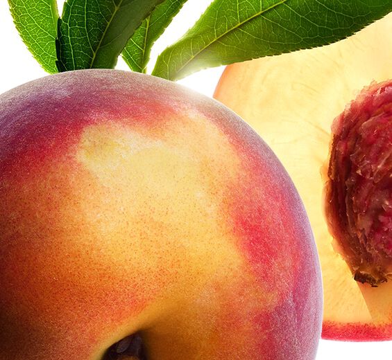 Drzewo brzoskwiniowe-Mleczko drzewa brzoskwiniowego-Prunus persica (peach) leaf extract