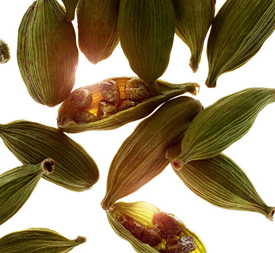 Kardamon-Olejek eteryczny z nasion kardamonu-Elettaria cardamomum seed oil
