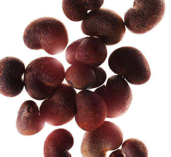 Baobab-Organiczny ekstrakt z baobabu-Adansonia digitata seed oil