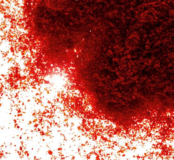 Papryka roczna-Ekstrakt z papryki-Capsicum annuum fruit extract