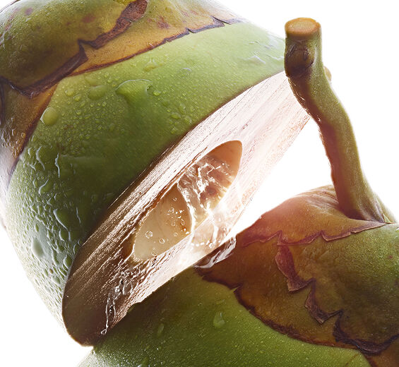 Kokos-Organiczna woda kokosowa-Cocos nucifera (coconut) fruit juice