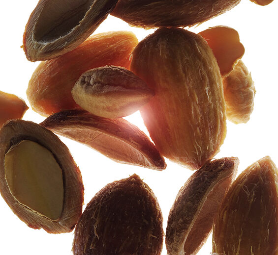 Daktyl pustynny-Organiczny ekstrakt z daktylowca-Balanites roxburghii seed oil