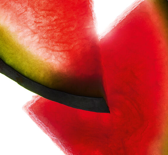 Arbuz-Ekstrakt z arbuza-Citrullus lanatus (watermelon) fruit extract