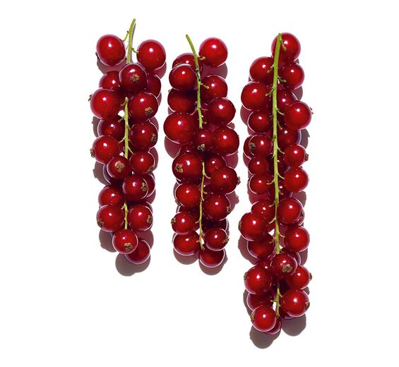 Czerwona pożeczka-Organiczny ekstrakt z pożeczki-Ribes rubrum (currant) fruit extract