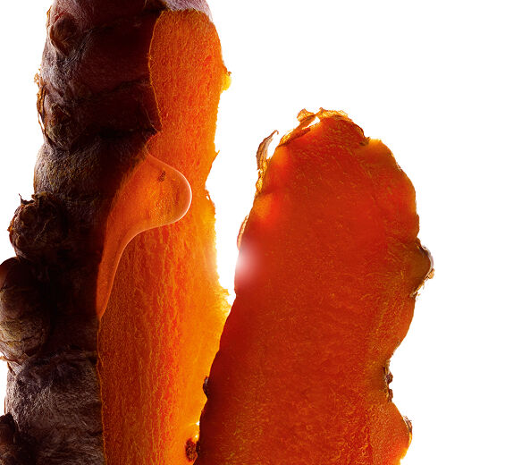 Kurkuma-Kurkuma-Curcuma longa (turmeric) root extract