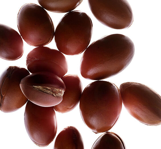 Drzewo arganowe-Organiczny olej arganowy-Argania spinosa kernel oil
