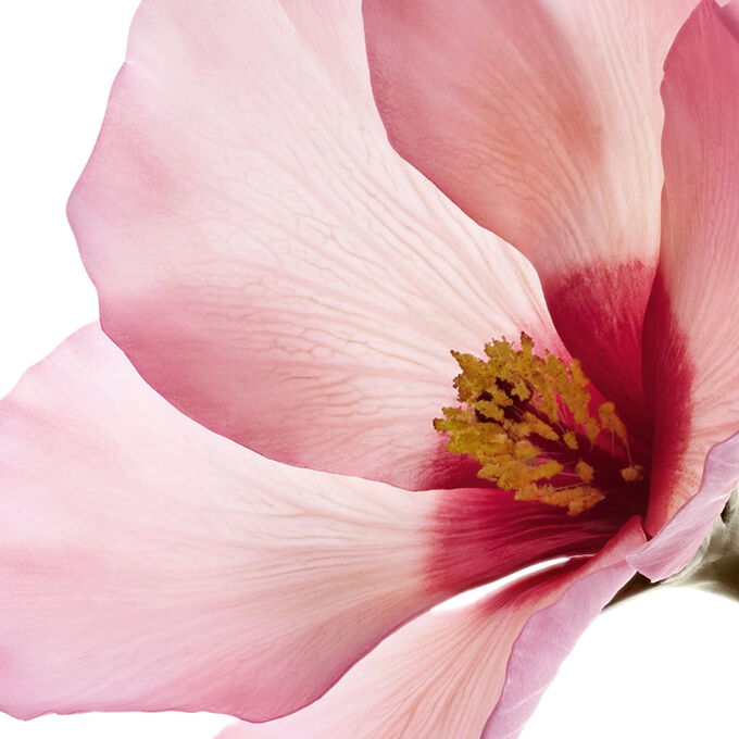 My Clarins PURE-RESET matujący żel na niedoskonałości