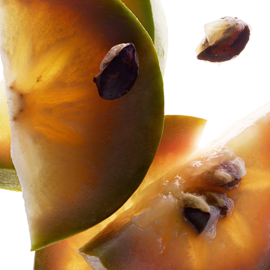 Drzewo Chrysophyllum cainito-Ekstrakt ze złotoliścia Caimito-Chrysophyllum cainito fruit extract