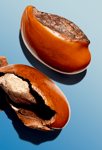 Masło shea