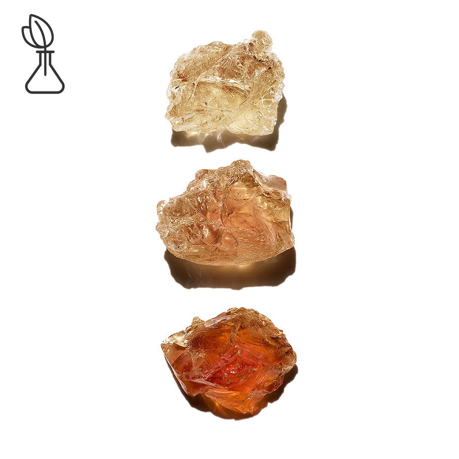 Akacja-Micropatch vegetal-Acacia Senegal gum