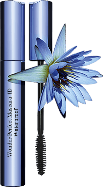 Lotus bleu