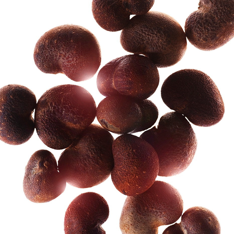 Baobab-Ekstrakt z baobabu-Hydrolyzed adansonia digitata extract