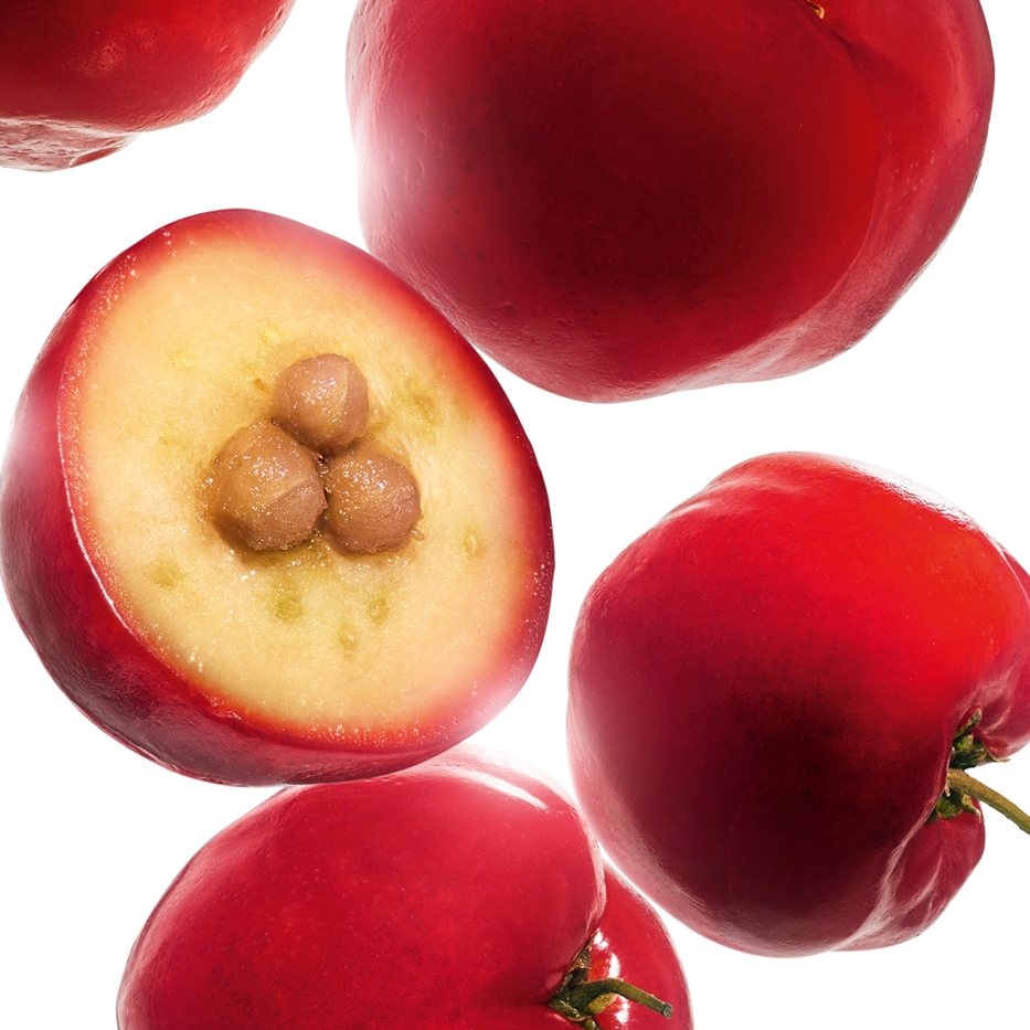 Acerola-Ekstrakt z aceroli-Malpighia emarginata (acerola) fruit extract