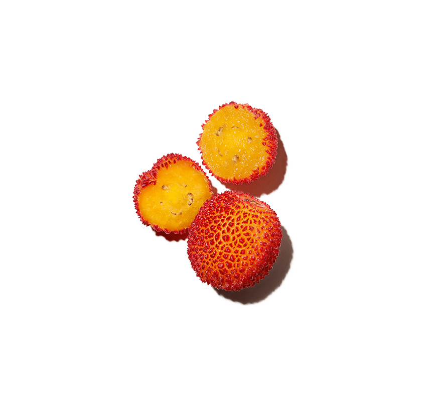 Organiczny ekstrakt z jagód goji Organiczny ekstrakt z jagód goji