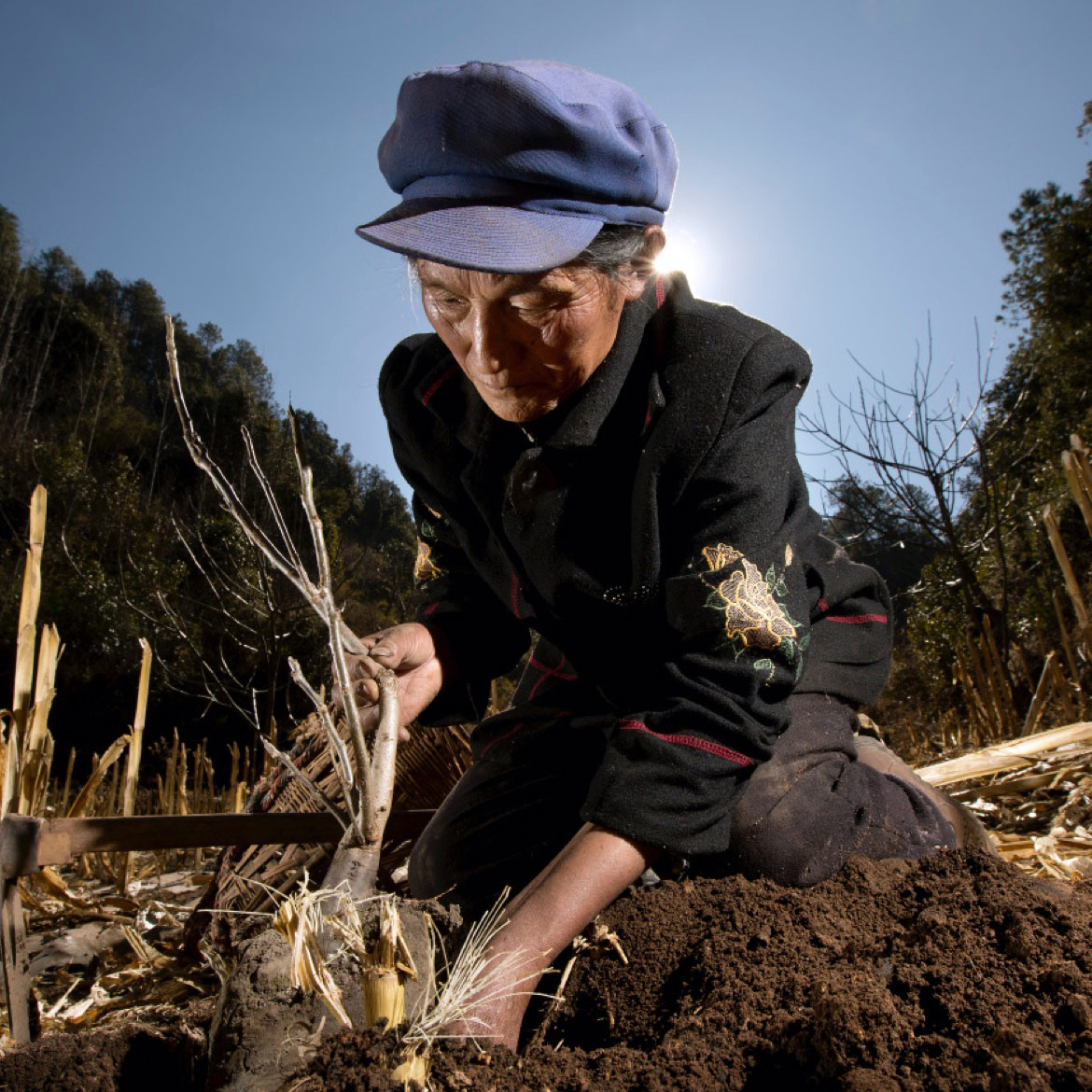 Nos engagements en faveur de la biodiversite