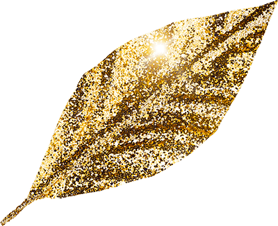 Image of a leaf