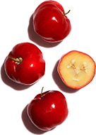 Acerola