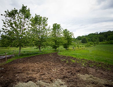 STANY ZJEDNOCZONE