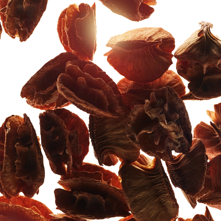 Acerola-Ekstrakt z nasion aceroli-Malpighia emarginata (acerola) seed extract