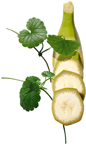 Organiczny banan i wąkrotka azjatycka