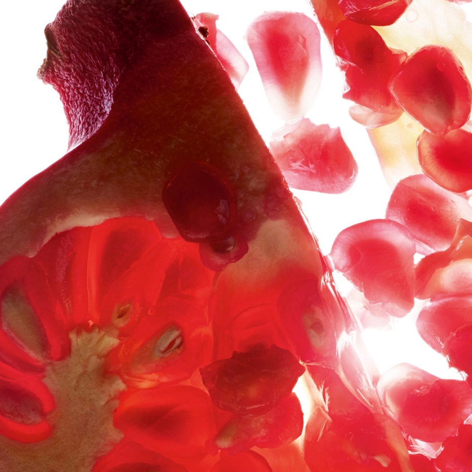 undefined-Ekstrakt z granatu-Punica granatum bark extract