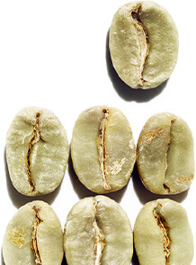 Kofeina