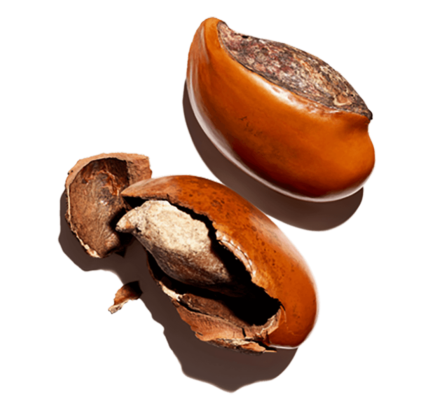 Masło shea - składnik organiczny Masło shea - składnik organiczny