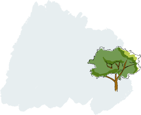 Wyjątkowy dotyk