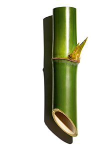 Puder bambusowy
