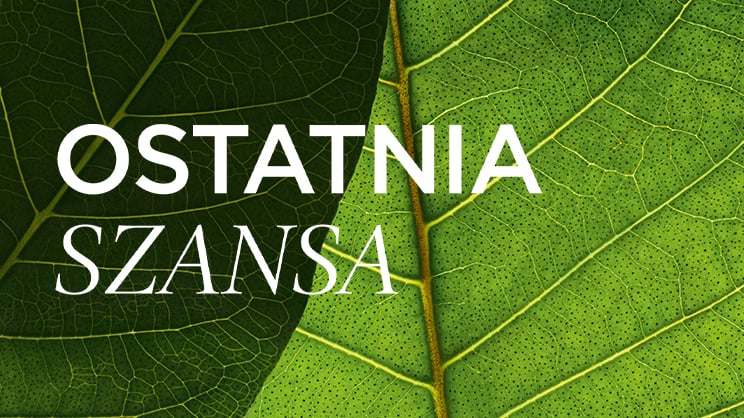 ostatnia szansa ostatnia szansa